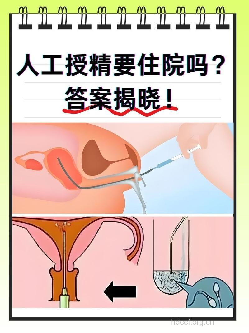 警惕人工授精带来的4个副作用