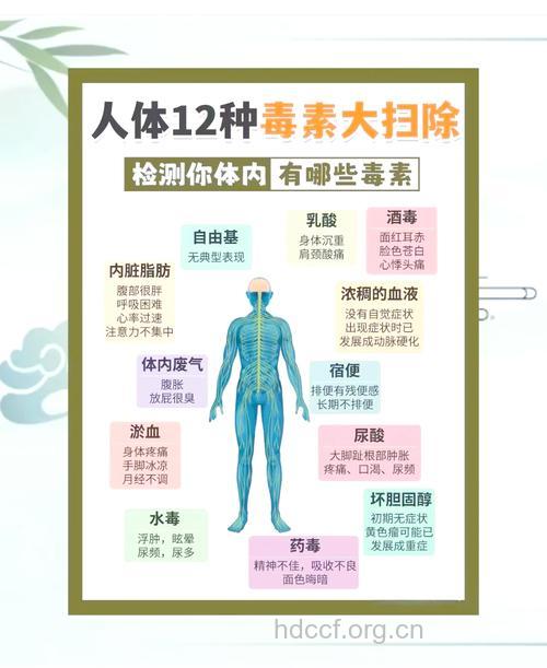 排毒,让你从内到外的美