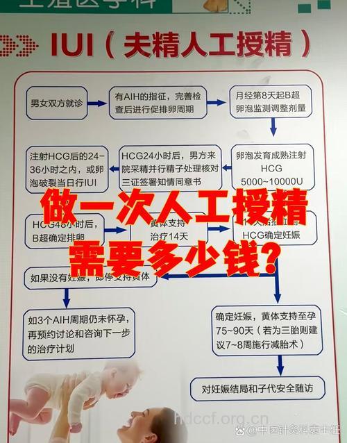 做人工授精需要多少钱