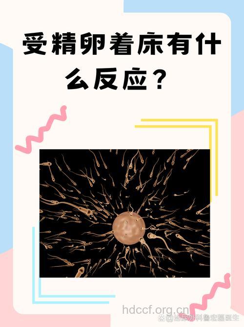 不是夫妻双方的精卵结合引起哪些问题