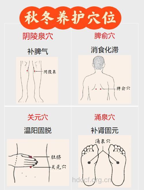 秋冬养生常按九大穴位