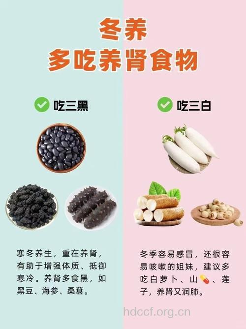 冬季养肾防疾病的10大食物