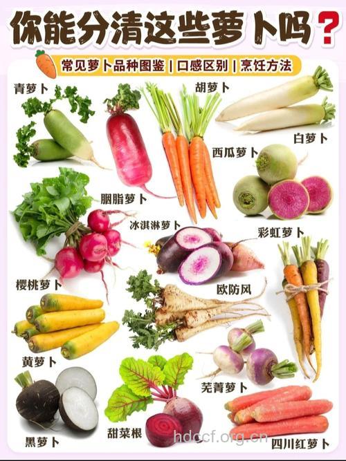 适合冬季食用的五种蔬菜