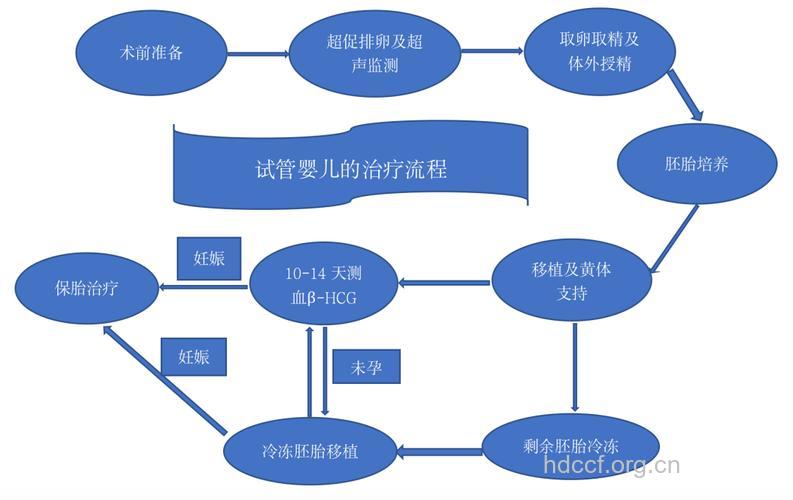 做试管婴儿的适应症