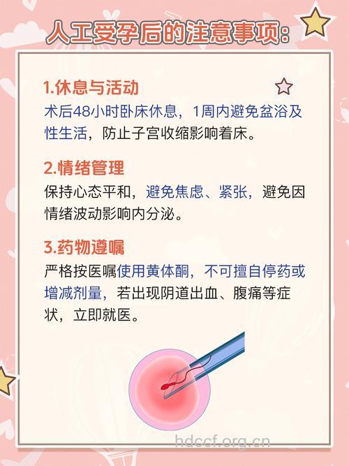 有关人工受孕的知识及价格