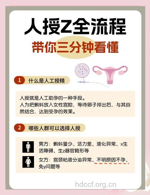 适合做人工受精的群体