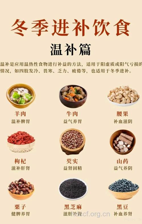 具有滋补防病功效的7大食物