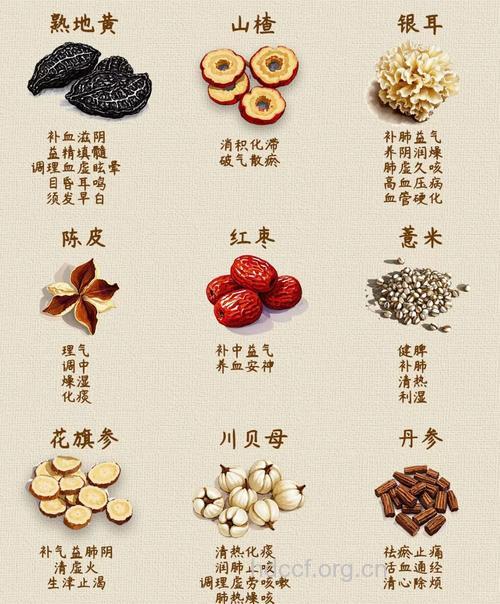秋季滋补元气的六种常见中药