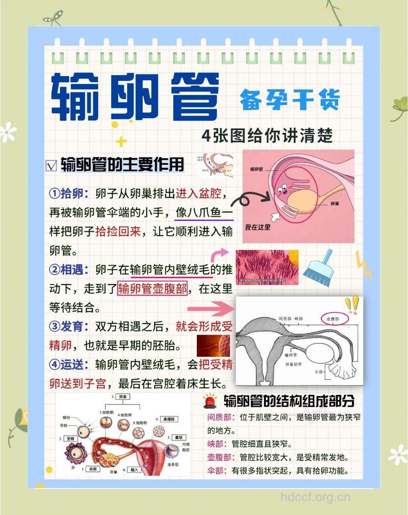 怎么治疗输卵管性不孕方法