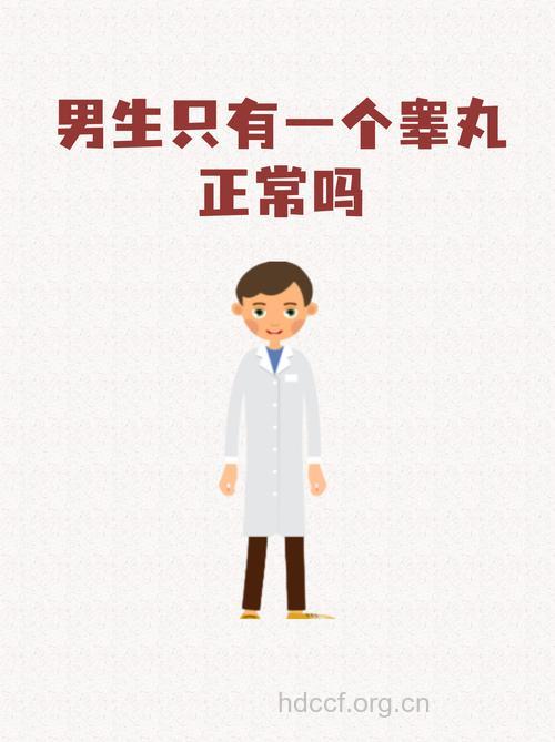 先天缺少睾丸可借助于——人造睾丸