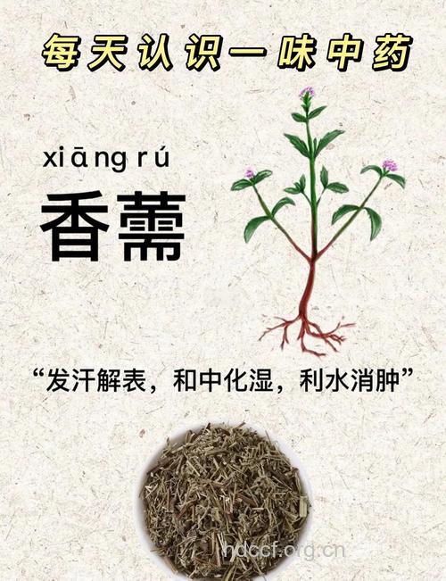 去除口臭7种中药古偏方