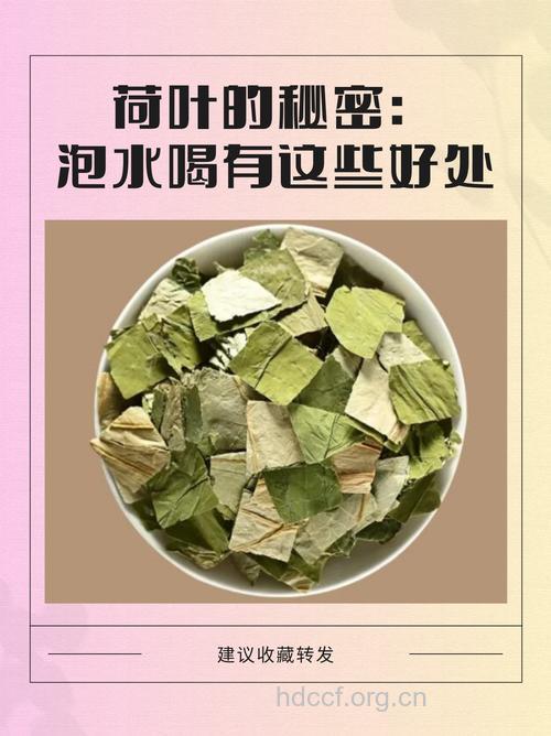 荷叶地骨皮饮治痤疮口臭