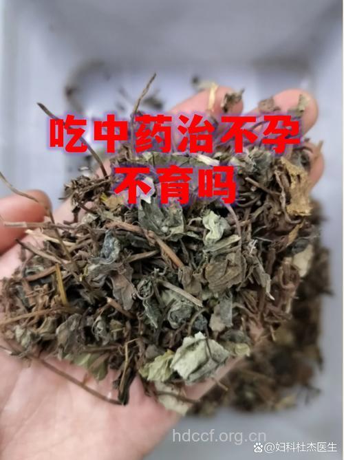 治疗不孕有哪些中药 你清楚吗