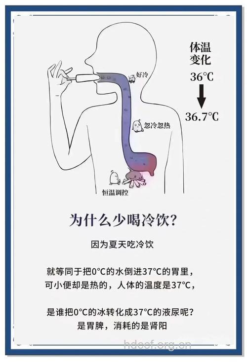 夏季千万不宜喝冷饮的七类人