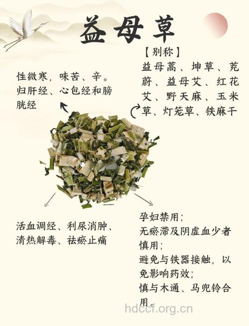 治疗女性不排卵的几种中药偏方