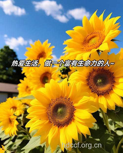 对生活充满热情益处多多