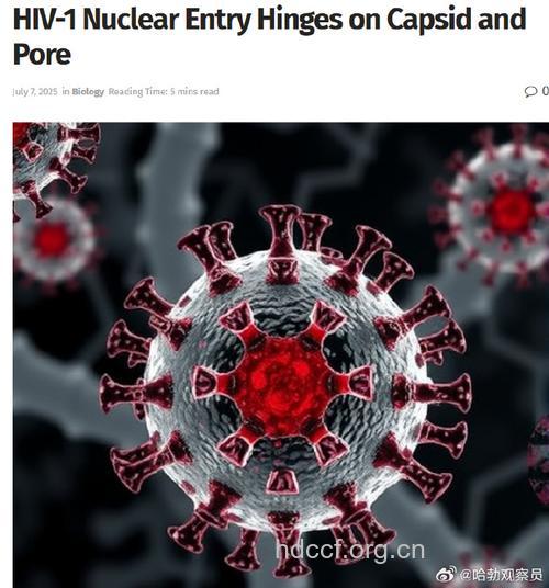 中国科学家发现逆转艾滋病病毒的分子机制
