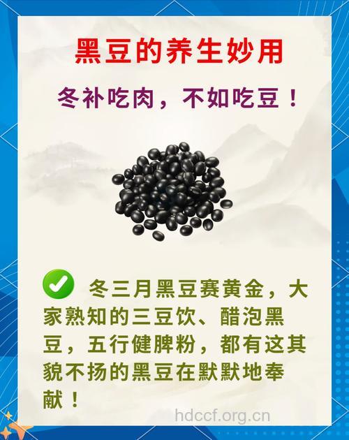 解析:黑豆能否治疗不孕不育