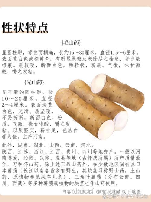 小儿口臭治疗特别推荐 山药