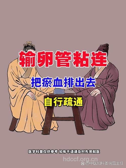 中医怎么活血清热治疗输卵管堵塞