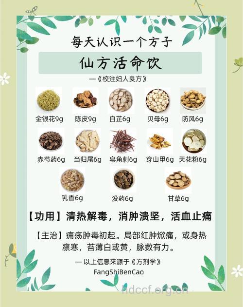 治疗口臭的6中汤药偏方