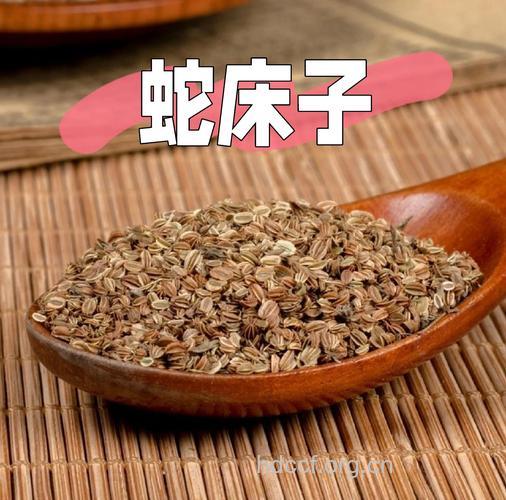 治疗男人不育的中药有哪些