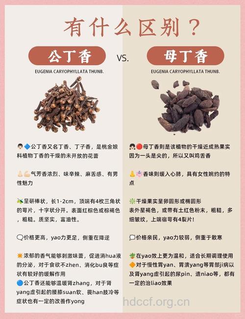 古代治疗口臭秘方 口含丁香