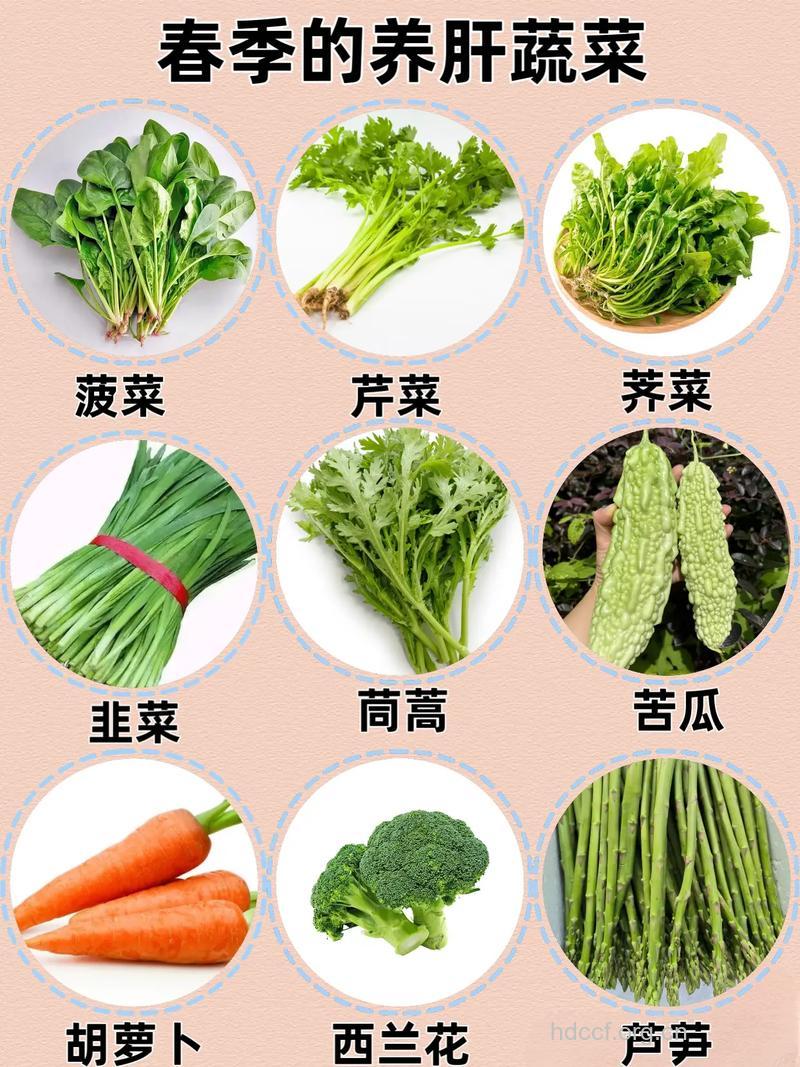 春季首选的9大护肝蔬菜