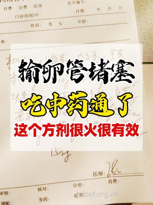 如何用中药治疗输卵管堵塞