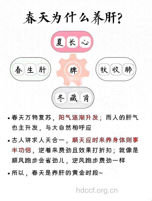 春季养生四大原则
