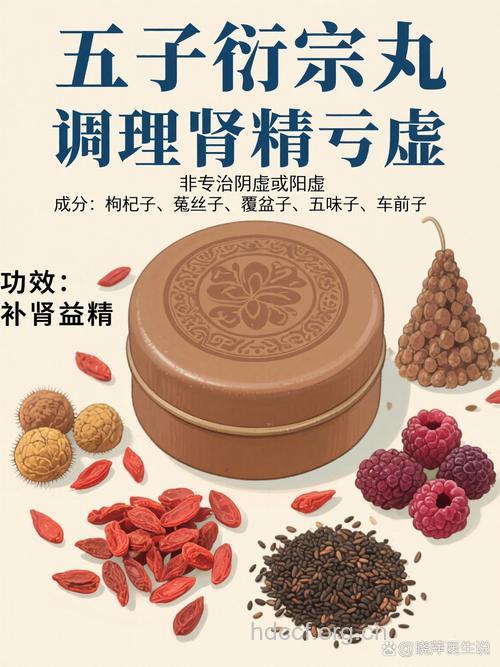 肾阳虚型不孕症的中药治疗
