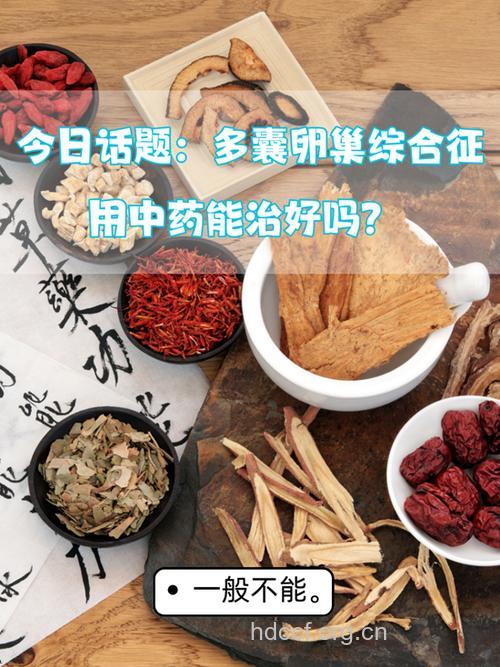 肥胖性不孕,中医药如何调理?