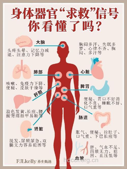 当你身体向你求救，你会懂吗