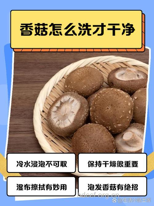 香菇能去除口臭吗