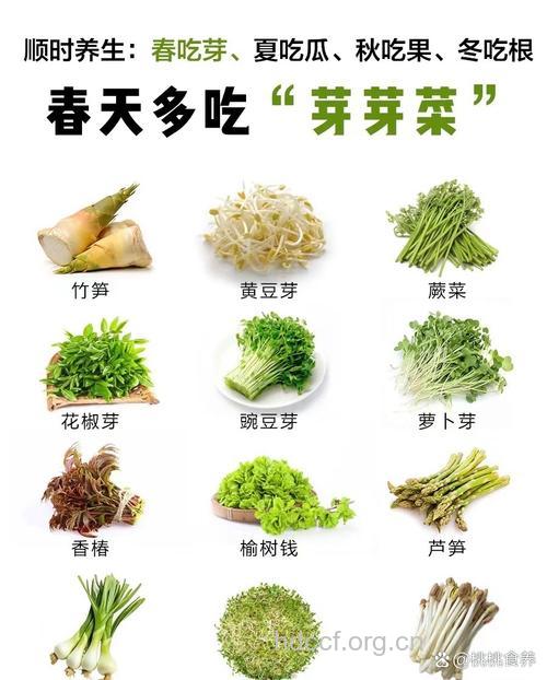 24节气惊蛰要多吃的七大蔬菜