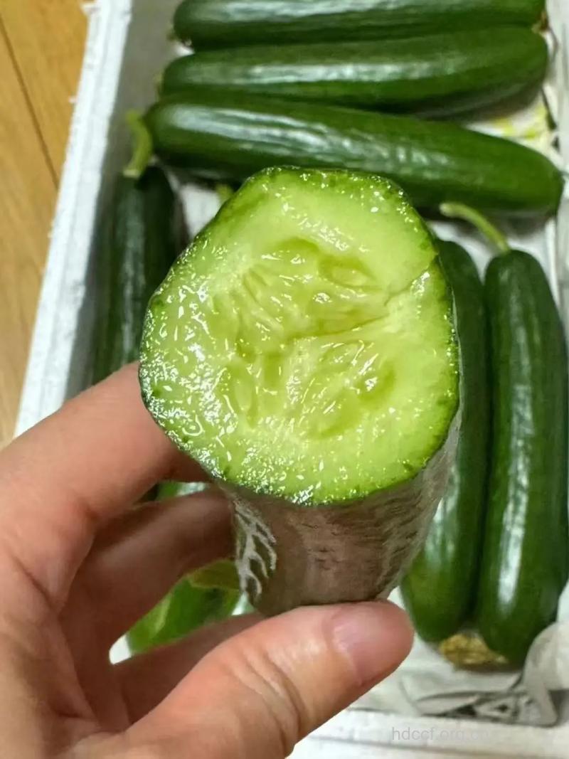 春季清热排毒的蔬果