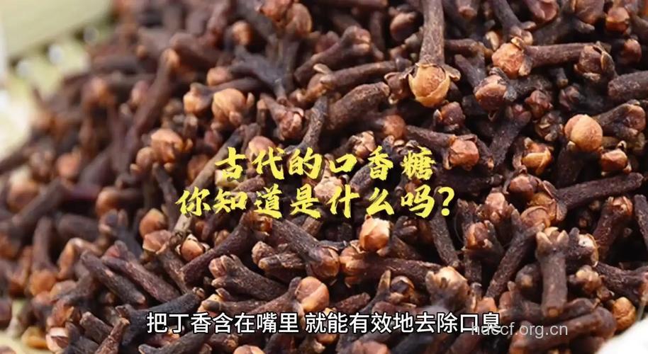丁香治疗口臭--“古代口香糖”
