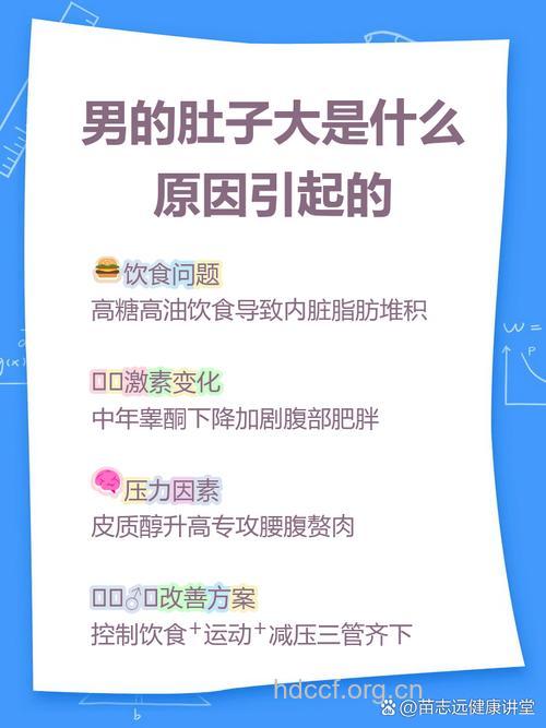 导致男人啤酒肚的原因