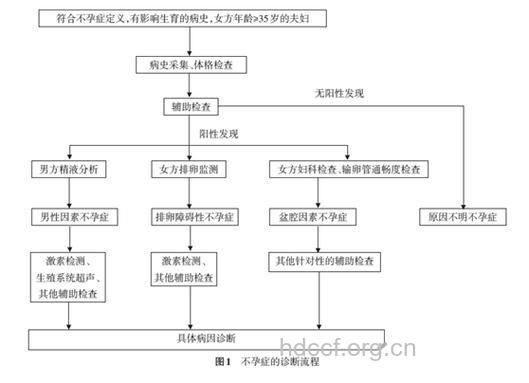 不孕症正规检查程序是什么