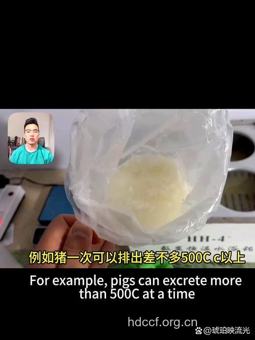 动物肾脏损精子量