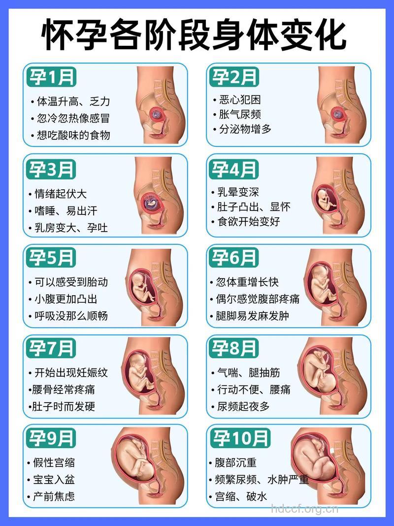 哪些情况下怀孕的宝宝要不得