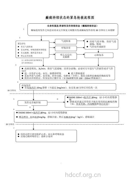 癫痫发作时有哪几步护理步骤