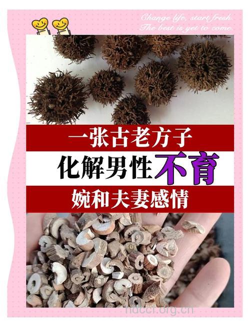 不育会给男性造成什么影响 不育治疗偏方