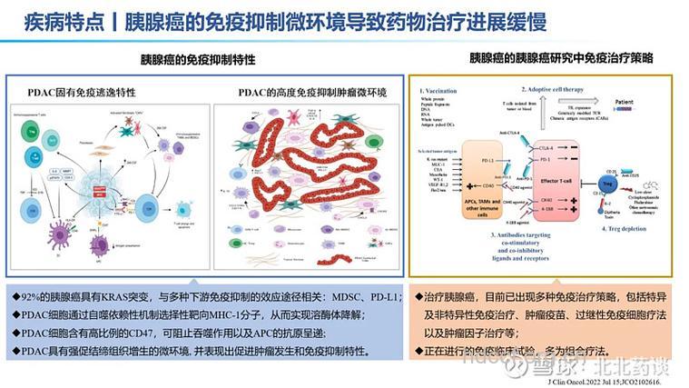 抗逆转录病毒治疗的时机