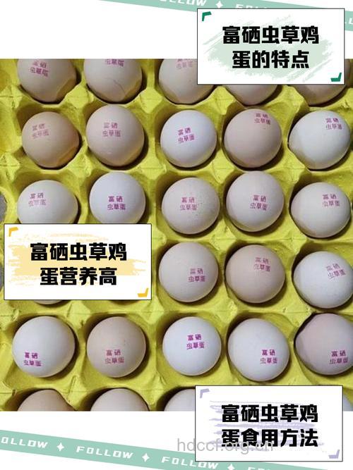 鸡蛋 可治百病的理想补品