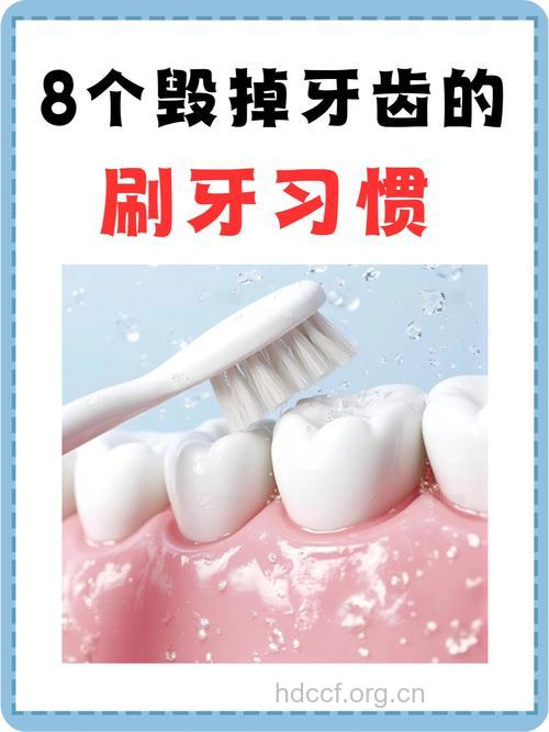 每天刷几次牙可防止口臭