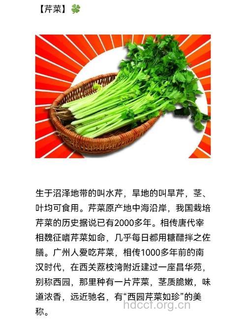 芹菜有预防口臭的作用吗