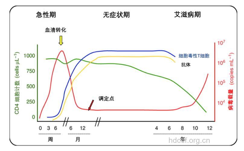 艾滋病的发病原理和病理变化