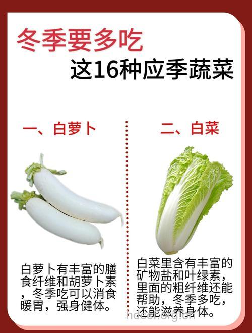 适合冬季养生吃的10大蔬菜