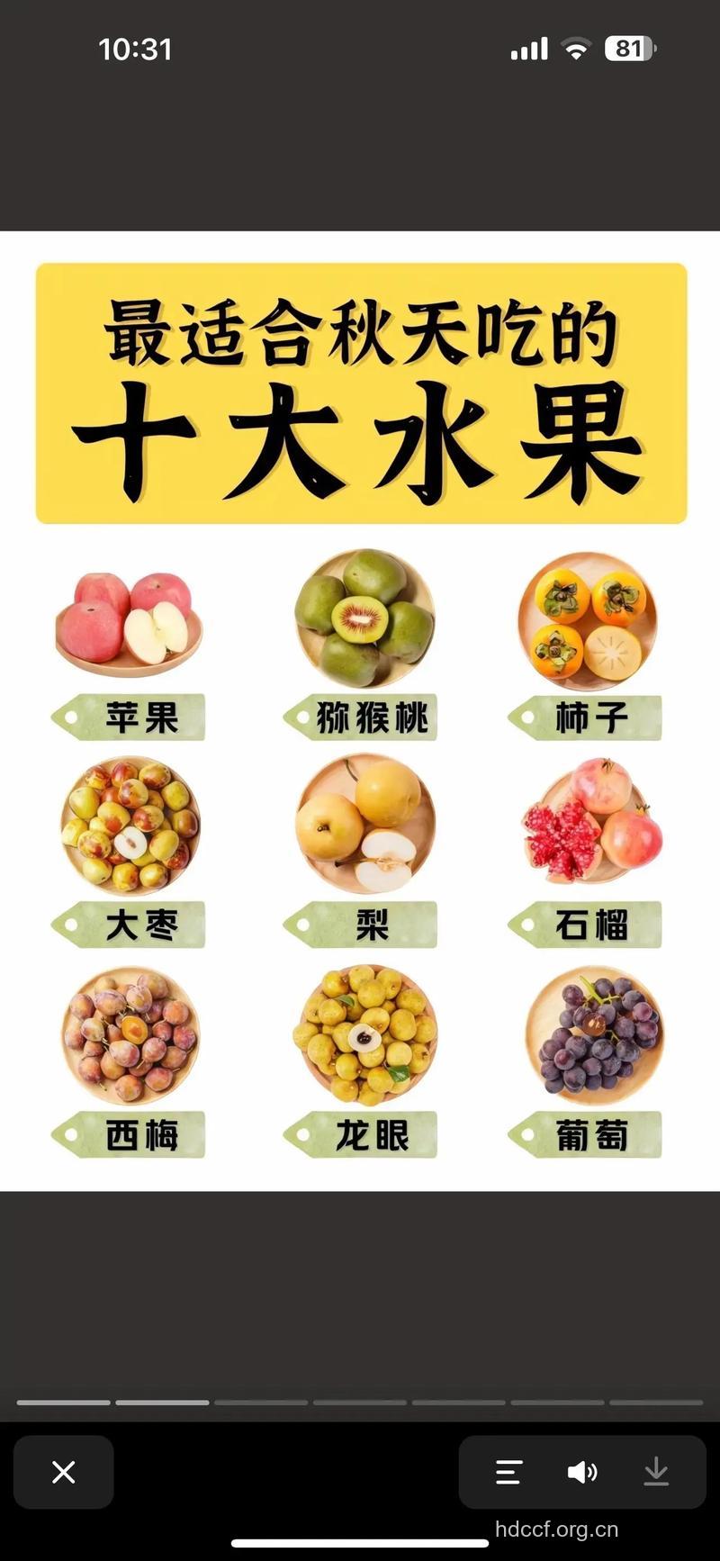 秋季养生吃哪些水果